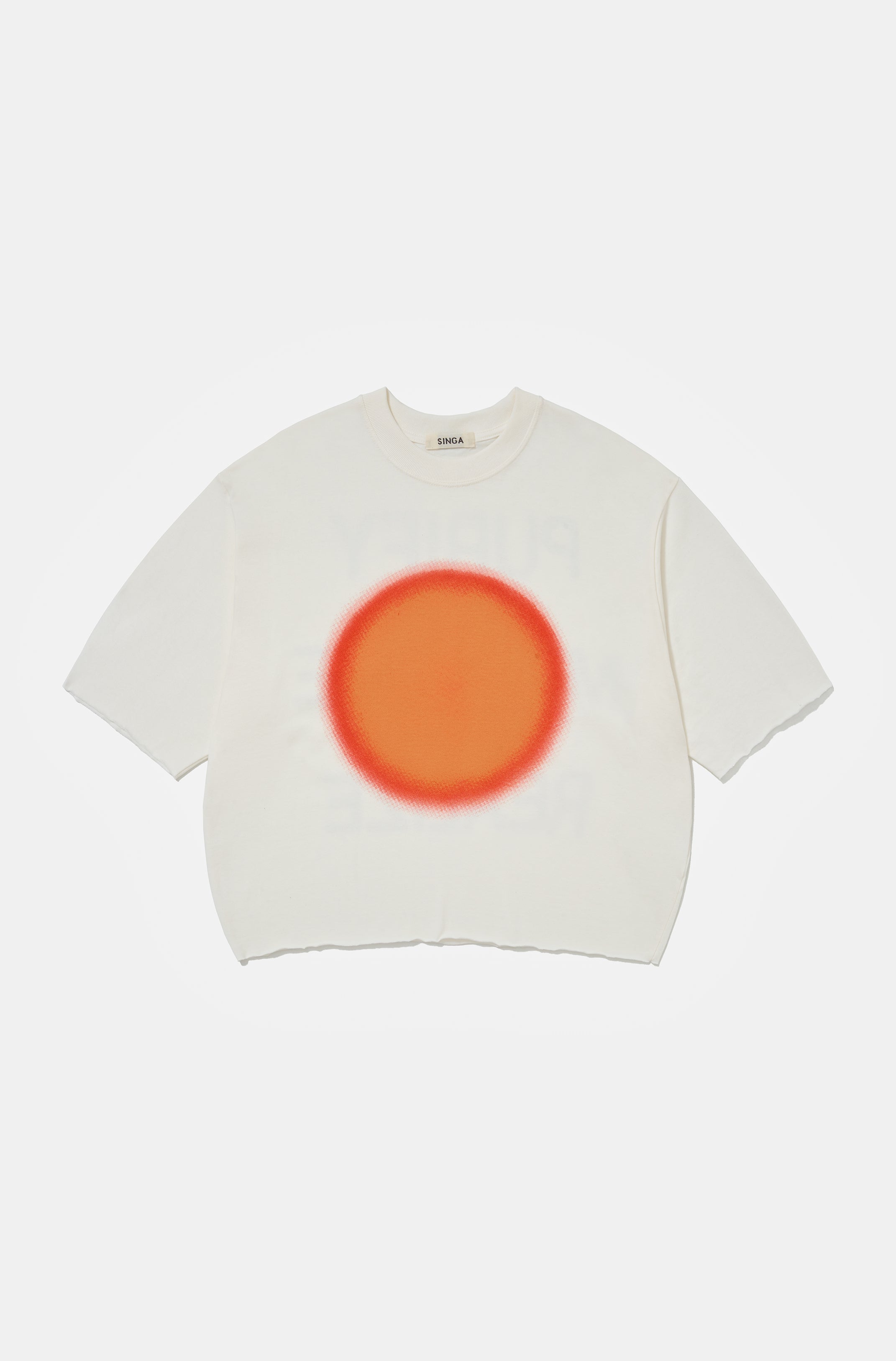 Camiseta Boxy Oversized Purify – Singa