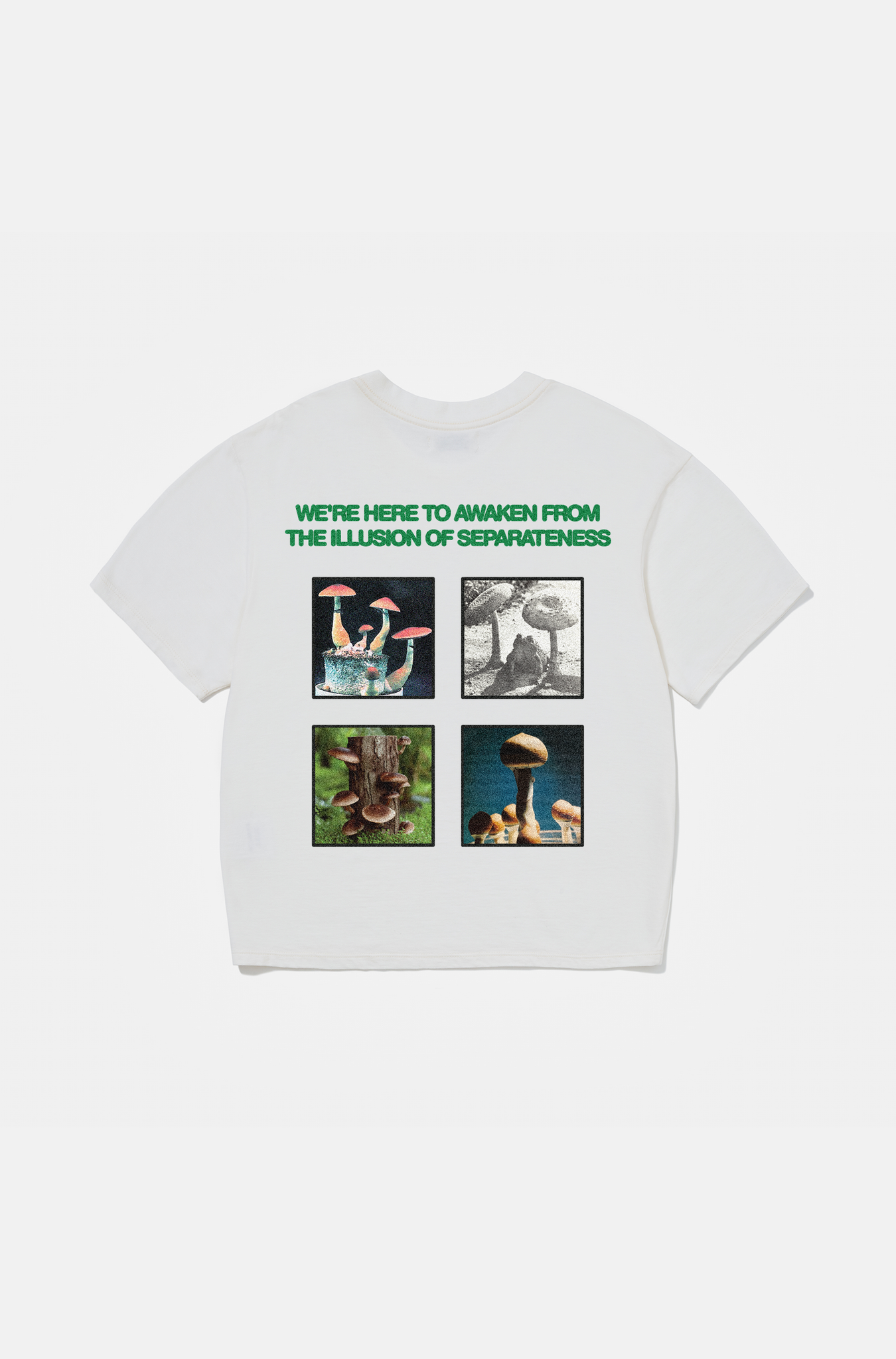 Camiseta Boxy Regular Mushrooms Crua